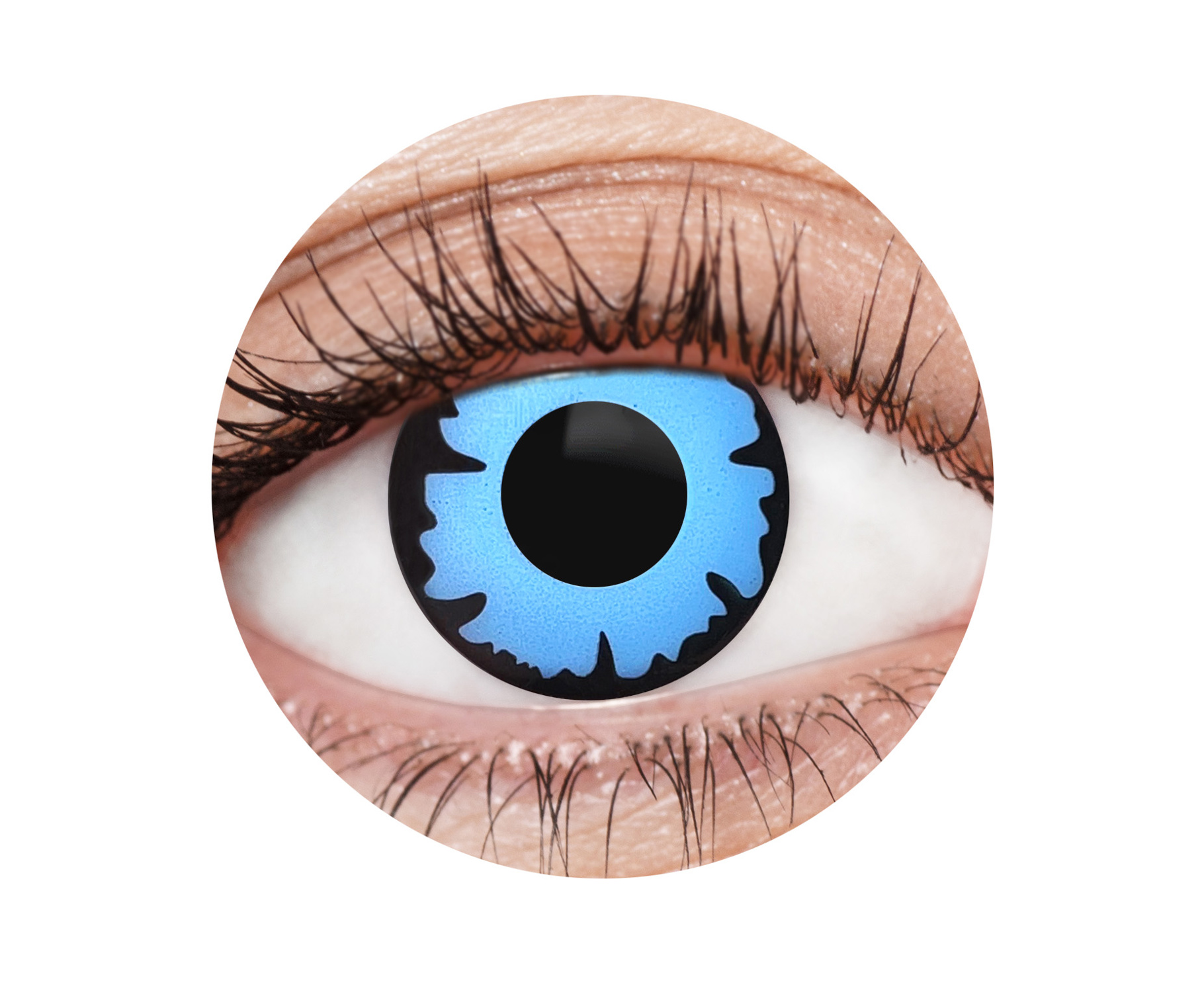 Wild Cat 1 Year Contact Lenses - image EFX033_EFX0033_Circle on https://www.abracadabrafancydress.com.au