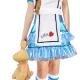 Peter Pan Robin Hood Costume Child 7-9 Years Fairy Tale Disney Book Week Boys - image  on https://www.abracadabrafancydress.com.au