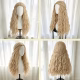 Orange Short Wig Costume Ed Sheeran Pauline Hanson Anime Characters Inspired Fancy Dress - image  on https://www.abracadabrafancydress.com.au