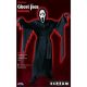 Scream Ghost Face Costume Teen Size Child Robe Mask with Hood Screamer Horror Scary Movie Halloween Fun World Licensed - image 8874pkg-80x80 on https://www.abracadabrafancydress.com.au